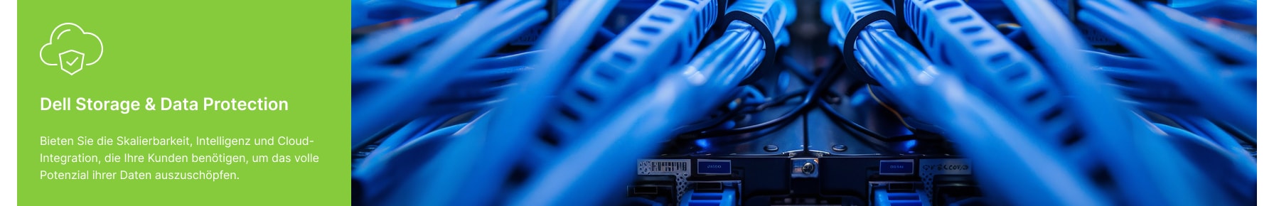 Dell Storage & Data Protection