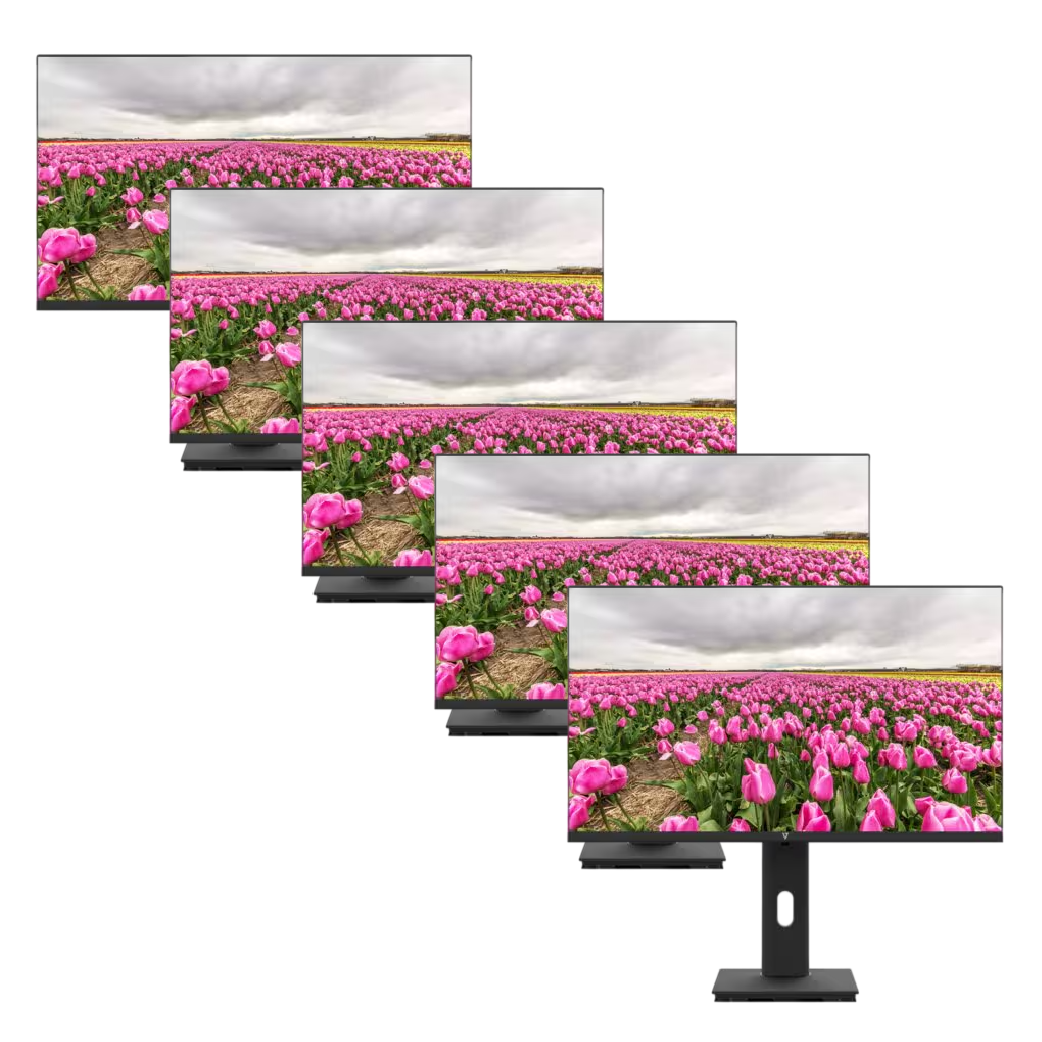 V7 Bundle 5 Monitor LED 24 pollici Full HD