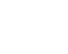 Enterprise Networking