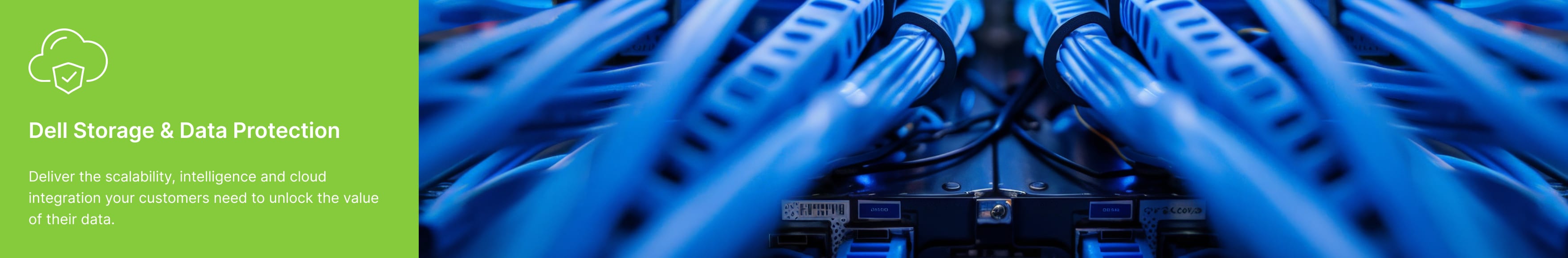 Dell Storage & Data Protection