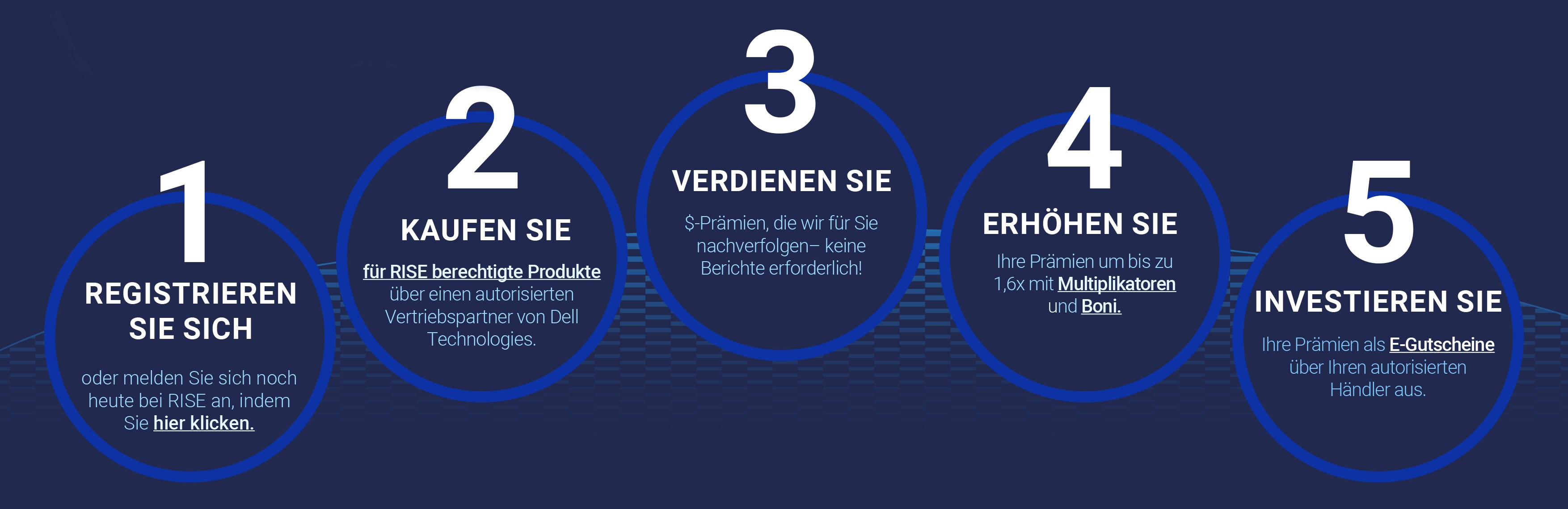 Dell Rise Incentive Programm