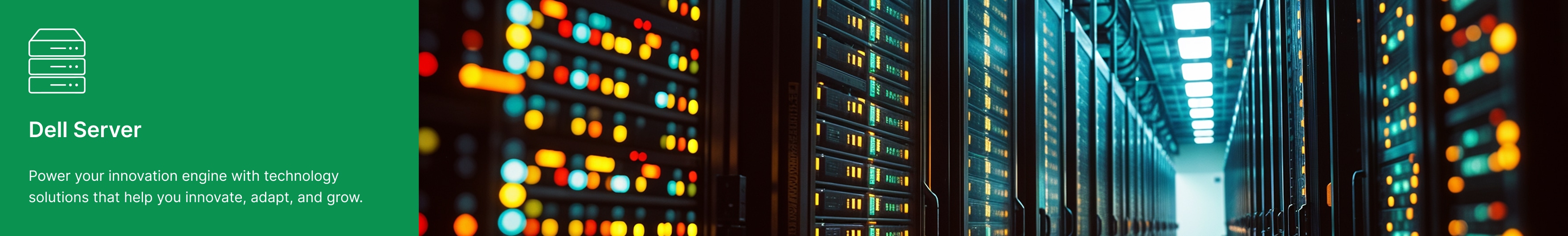 Dell Server